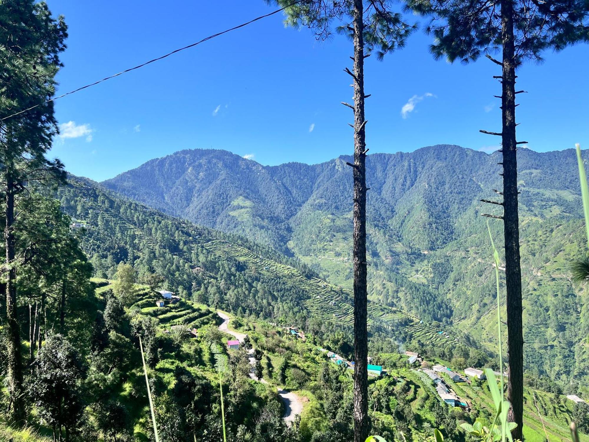 Himalayan Hill Top Resort Kanatal Zewnętrze zdjęcie